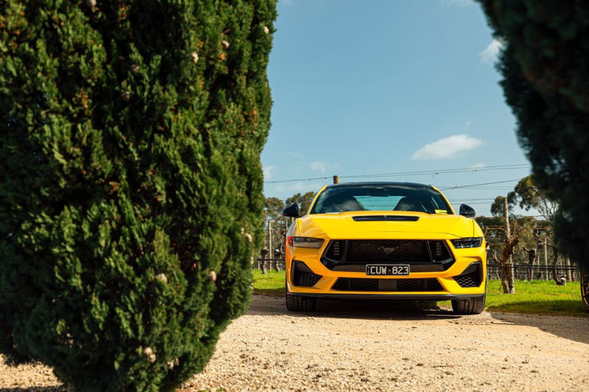 Ford Mustang GT and Dark Horse.