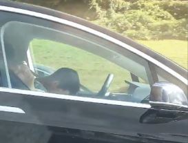 Watch: driver appears to fall asleep at the wheel of a Tesla - Driven ...