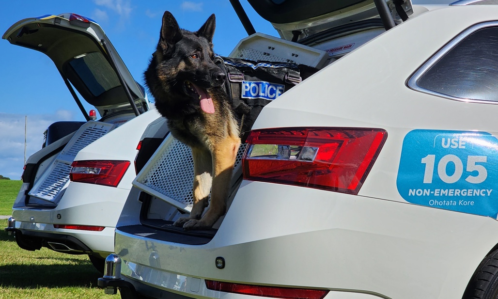 New Skoda dog wagons NZ Police pooches riding in Superb cli Driven
