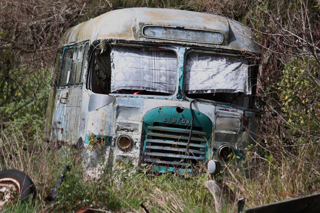 AA Motoring Car Buyer's Guide Look beyond age and milleage Driven