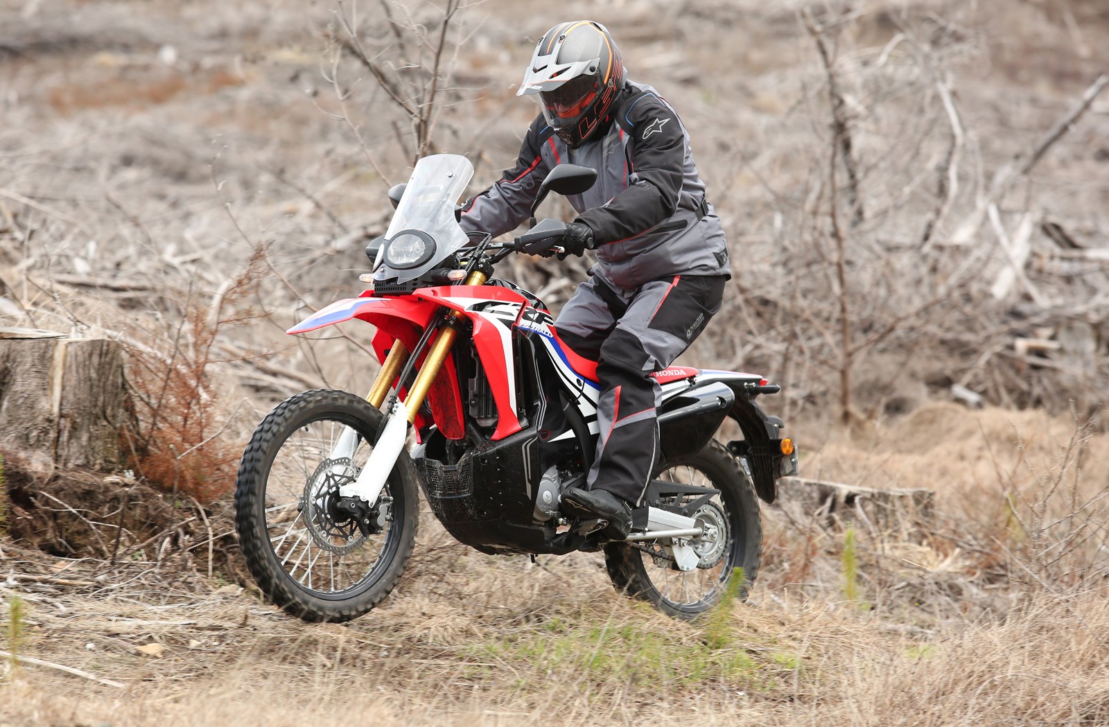 CRF250L Rally: Honda's road-ready raider - Driven Car Guide