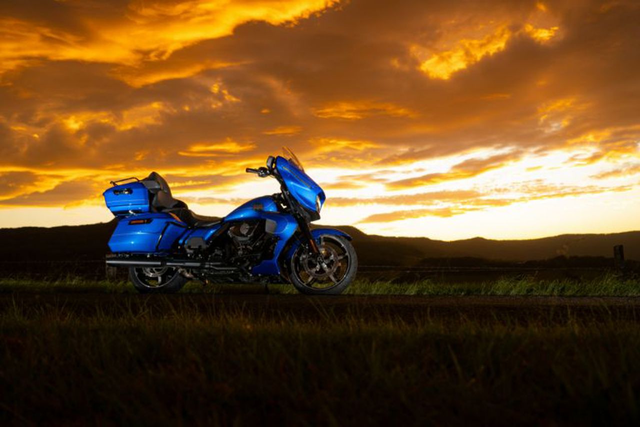 Harley-Davidson Softails.