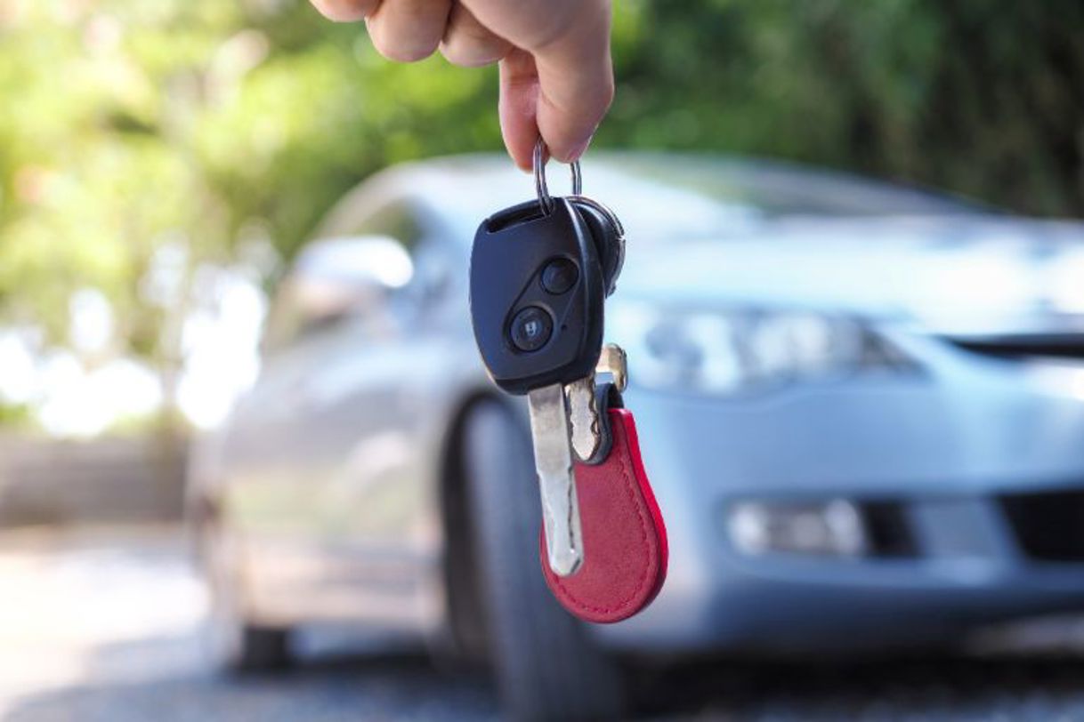 Car key bacteria.