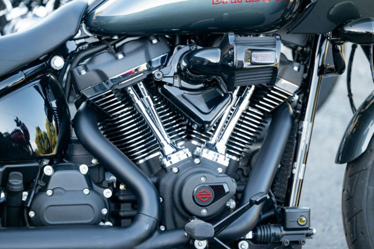 Harley-Davidson Softails.