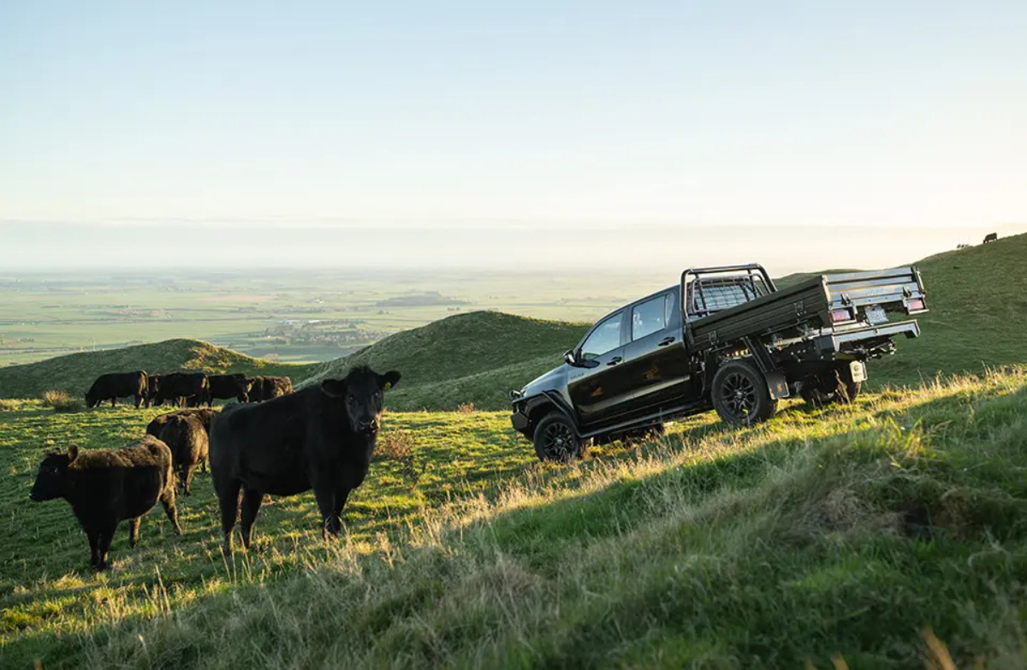 Toyota Hilux SR double cab chassis.