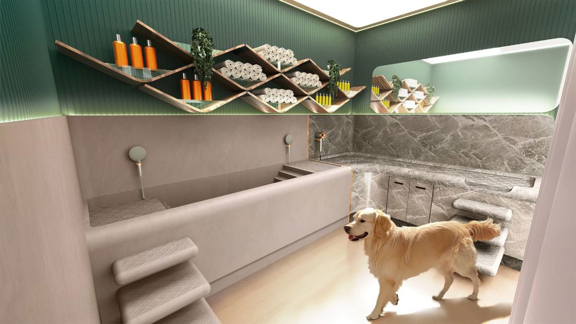 Bentley residences dog spa.