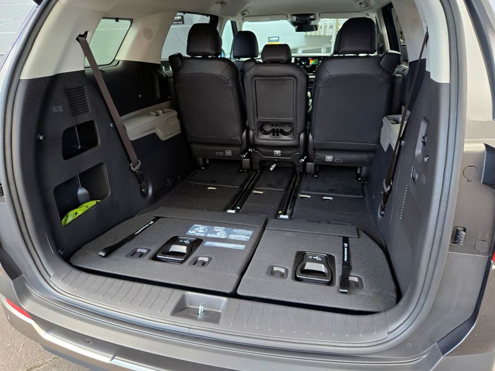 Kia Carnival Water hybrid.