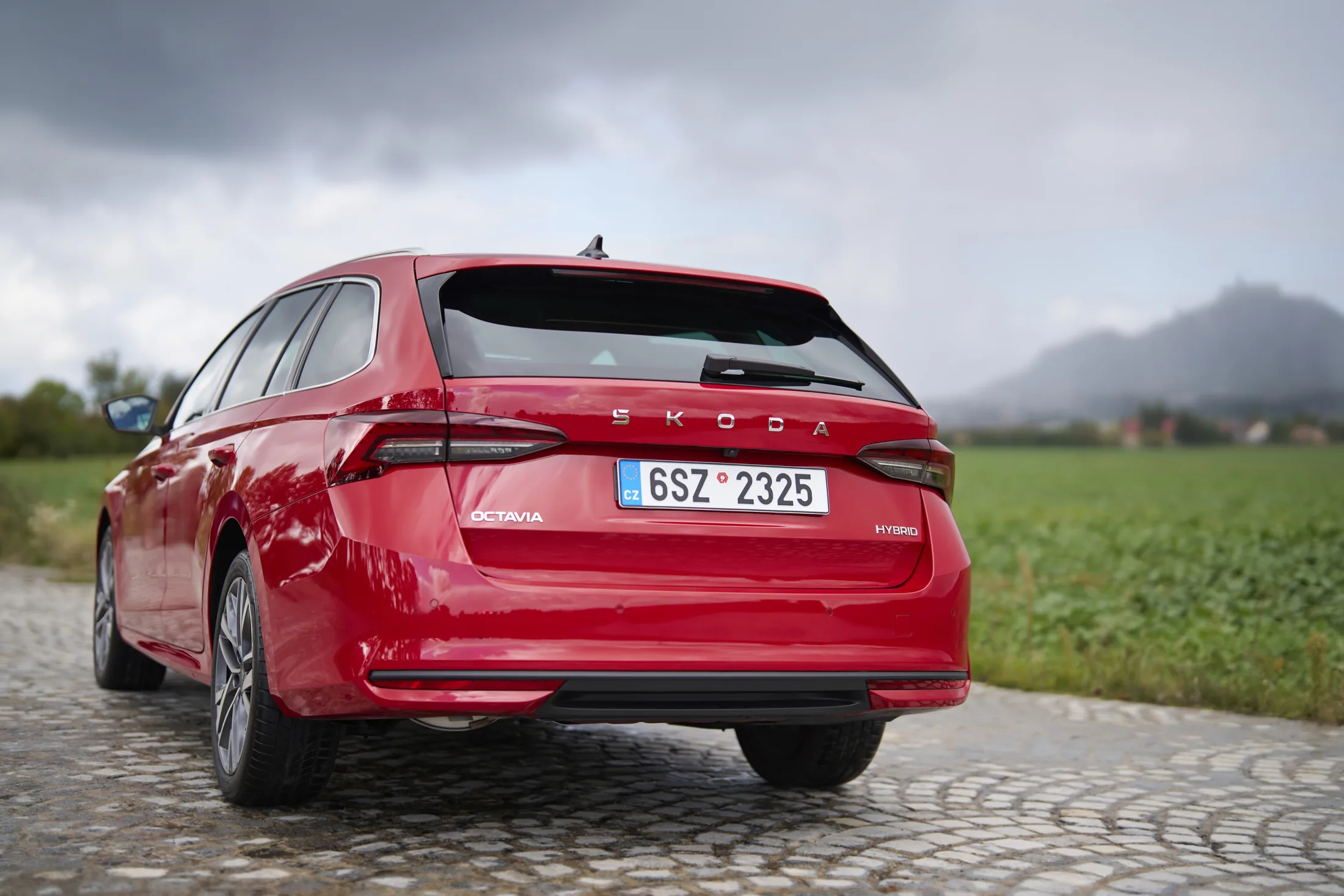 Exact Octavia rear identification and bodywork. Opaque editorial asset