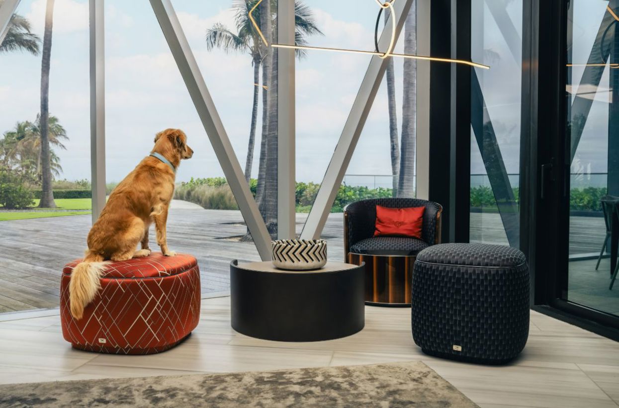 Bentley Residences dog spa.