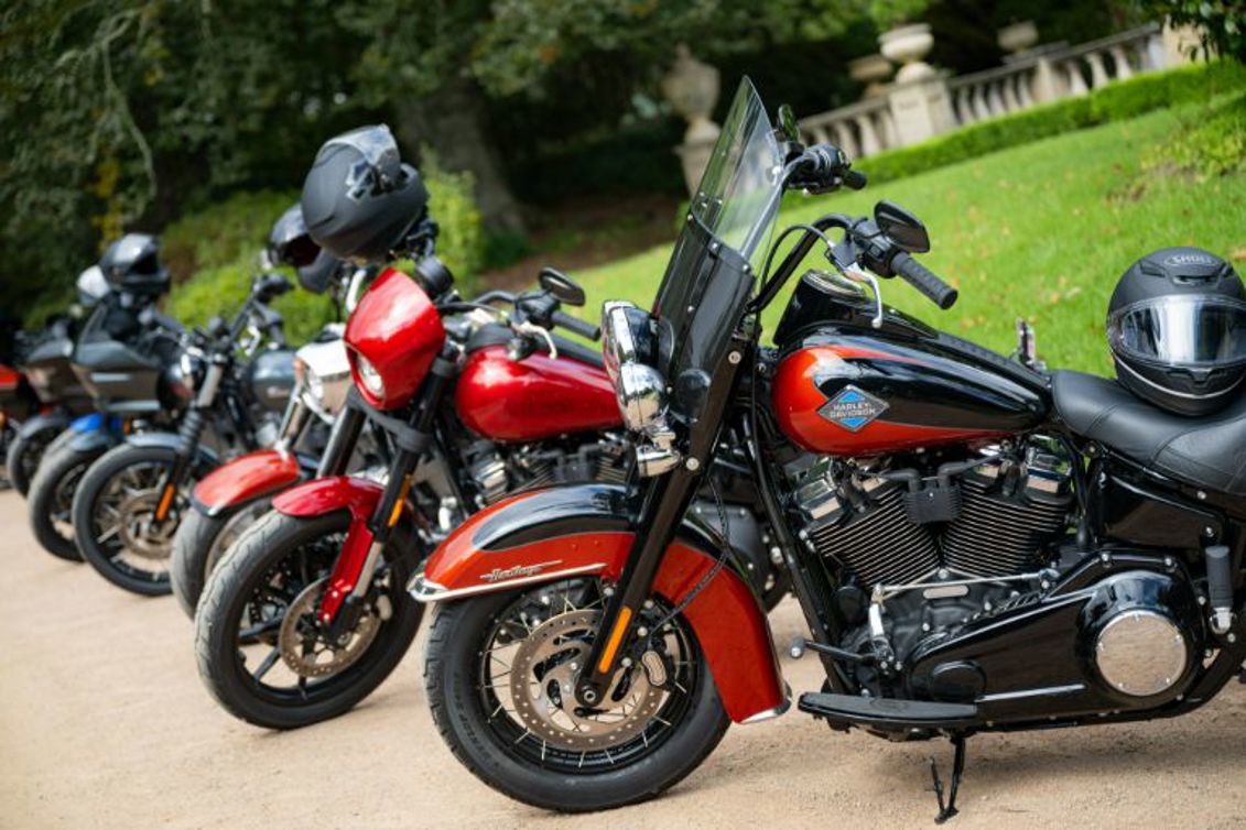 Harley-Davidson Softails.