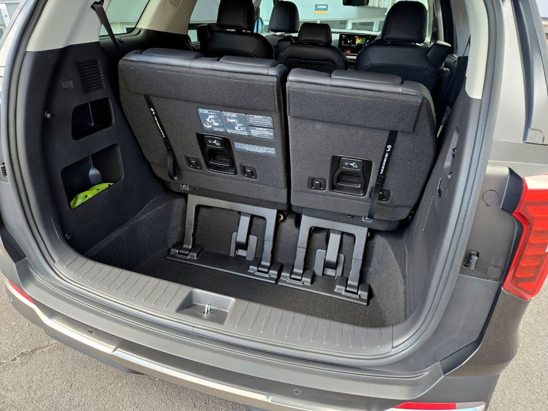 Kia Carnival Water hybrid.