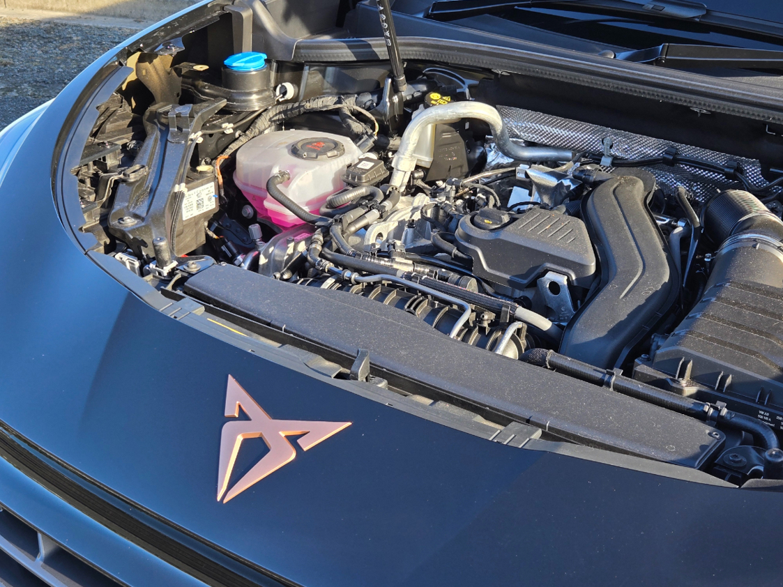 Cupra Terramar V.