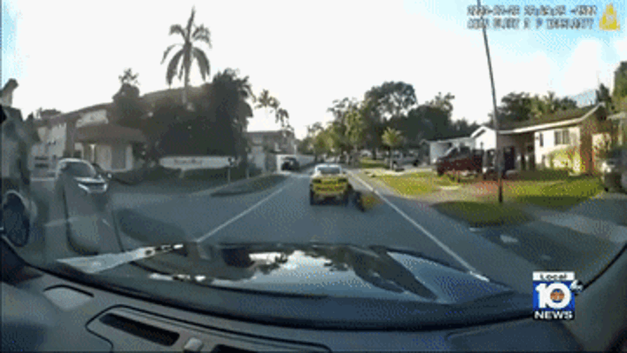 The Grappler Florida Police